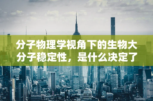 分子物理学视角下的生物大分子稳定性，是什么决定了它们的持久性？