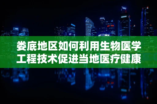 娄底地区如何利用生物医学工程技术促进当地医疗健康水平提升？