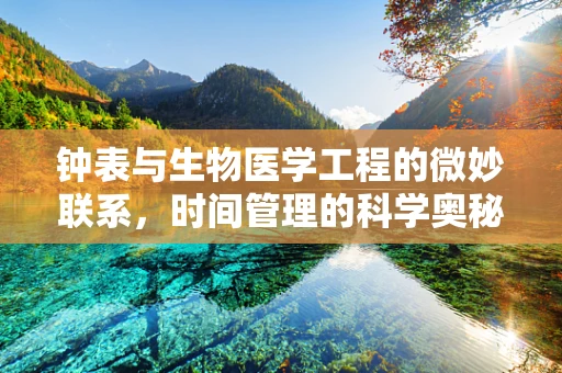 钟表与生物医学工程的微妙联系，时间管理的科学奥秘