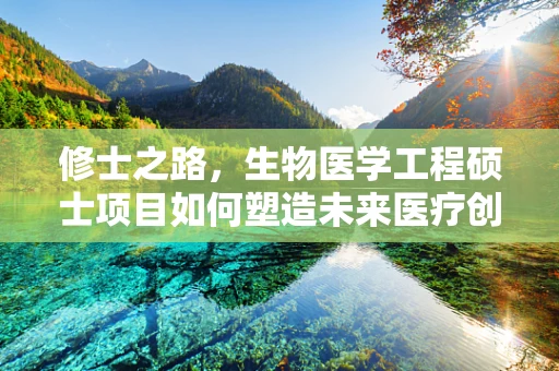 修士之路，生物医学工程硕士项目如何塑造未来医疗创新者？