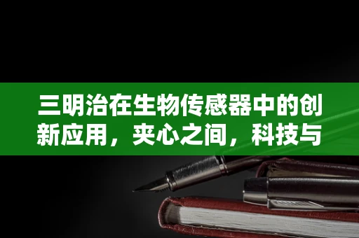 三明治在生物传感器中的创新应用，夹心之间，科技与健康的完美邂逅？