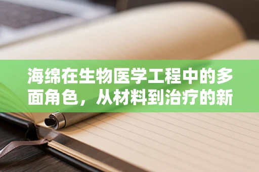 海绵在生物医学工程中的多面角色，从材料到治疗的新兴应用？