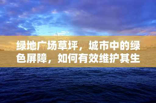 绿地广场草坪，城市中的绿色屏障，如何有效维护其生态与功能？